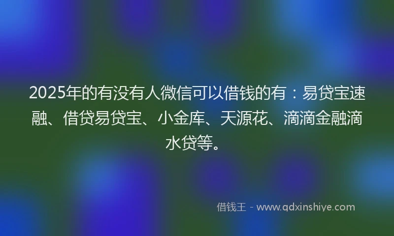 2025年的有没有人微信可以借钱的有：易贷宝速融、借贷易贷宝、小金库、天源花、滴滴金融滴水贷等。