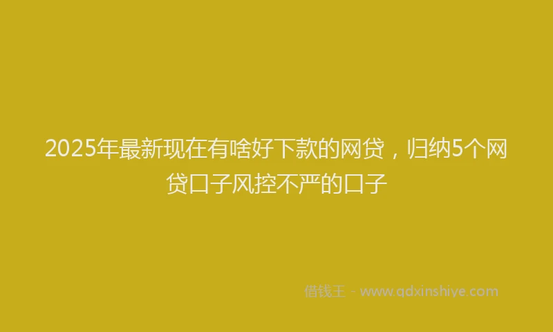 2025年最新现在有啥好下款的网贷，归纳5个网贷口子风控不严的口子