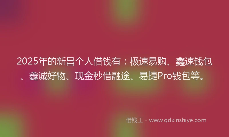 2025年的新昌个人借钱有：极速易购、鑫速钱包、鑫诚好物、现金秒借融途、易捷Pro钱包等。