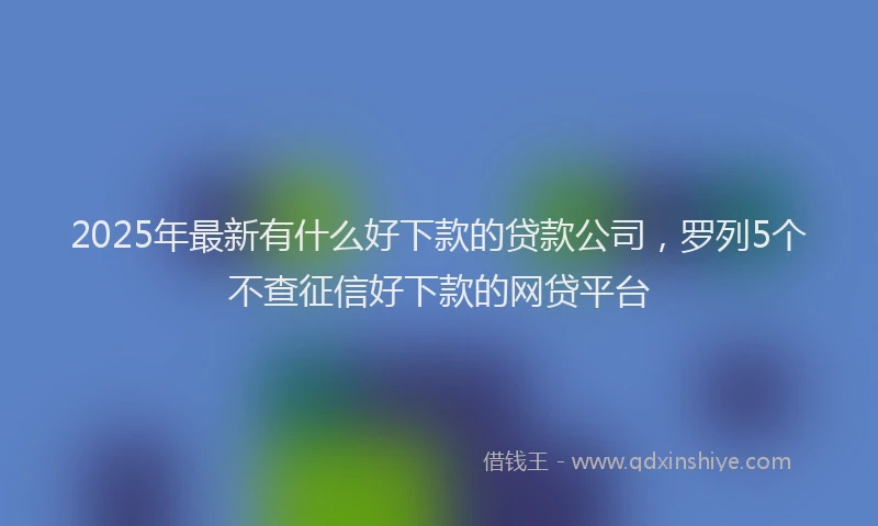 2025年最新有什么好下款的贷款公司，罗列5个不查征信好下款的网贷平台