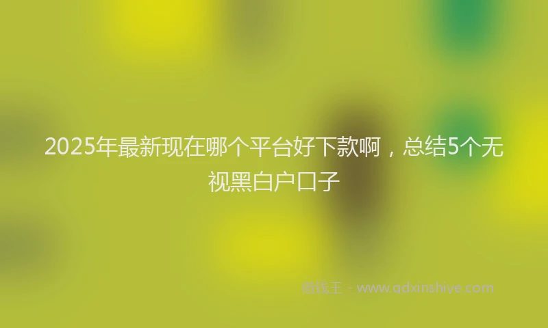 2025年最新现在哪个平台好下款啊，总结5个无视黑白户口子