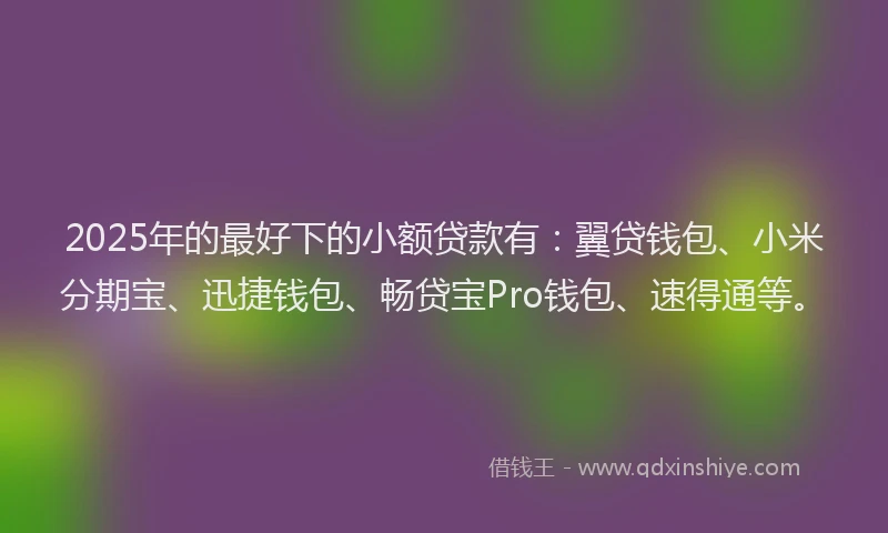 2025年的最好下的小额贷款有：翼贷钱包、小米分期宝、迅捷钱包、畅贷宝Pro钱包、速得通等。