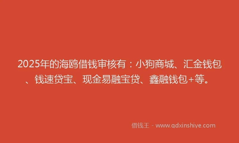 2025年的海鸥借钱审核有：小狗商城、汇金钱包、钱速贷宝、现金易融宝贷、鑫融钱包+等。