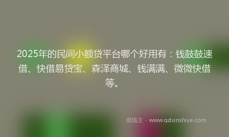 2025年的民间小额贷平台哪个好用有：钱鼓鼓速借、快借易贷宝、森泽商城、钱满满、微微快借等。