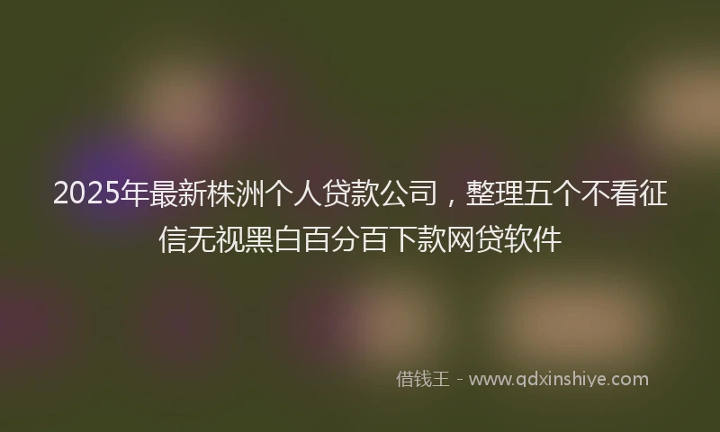 2025年最新株洲个人贷款公司，整理五个不看征信无视黑白百分百下款网贷软件