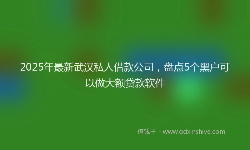 2025年最新武汉私人借款公司，盘点5个黑户可以做大额贷款软件
