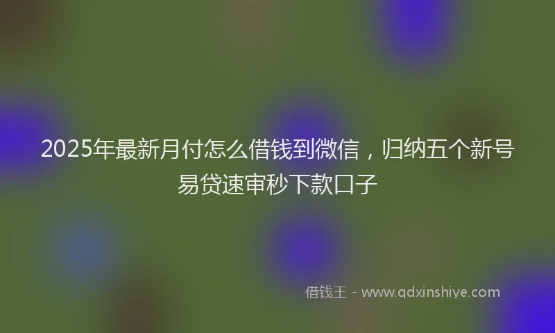 2025年最新月付怎么借钱到微信，归纳五个新号易贷速审秒下款口子