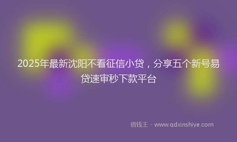 2025年最新沈阳不看征信小贷，分享五个新号易贷速审秒下款平台