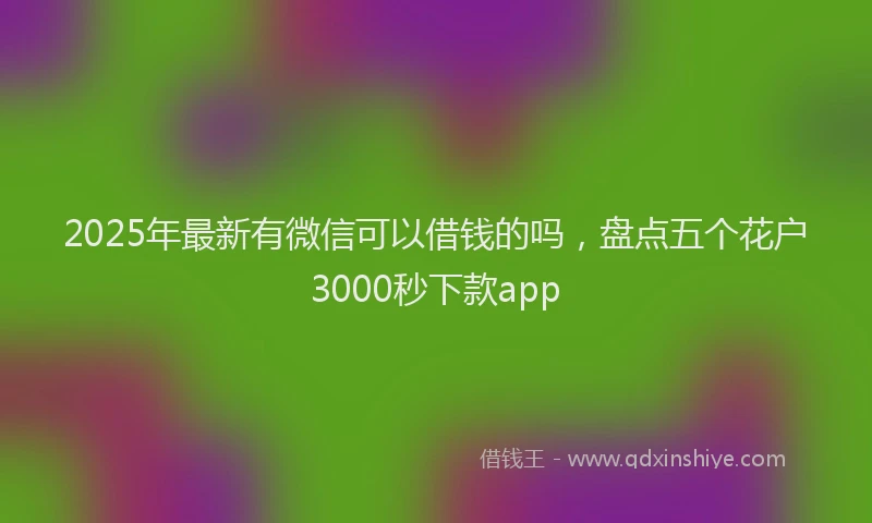 2025年最新有微信可以借钱的吗，盘点五个花户3000秒下款app