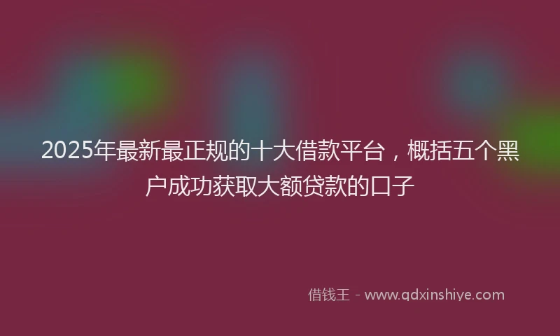 2025年最新最正规的十大借款平台，概括五个黑户成功获取大额贷款的口子