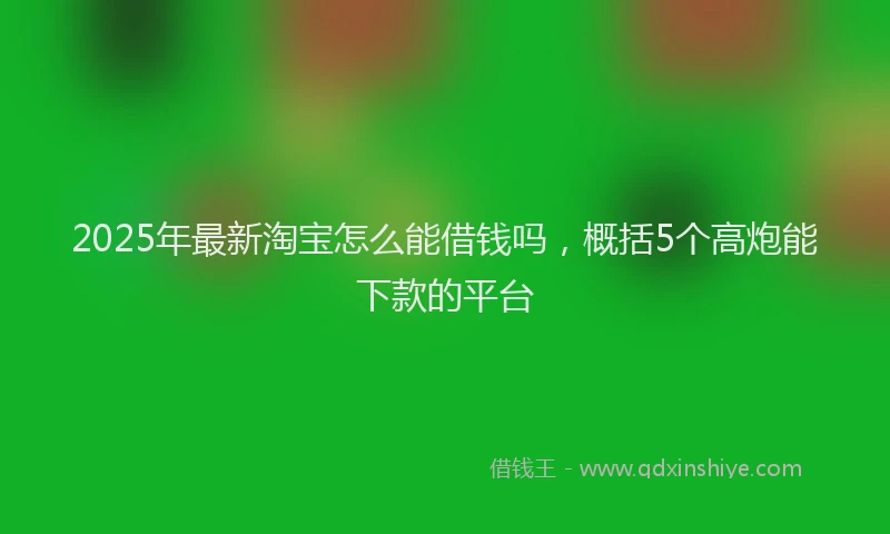 2025年最新淘宝怎么能借钱吗，概括5个高炮能下款的平台