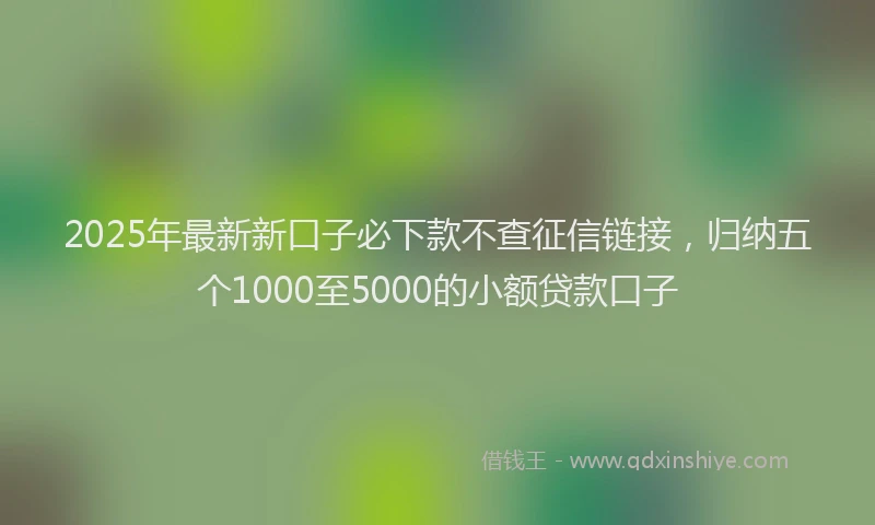 2025年最新新口子必下款不查征信链接，归纳五个1000至5000的小额贷款口子