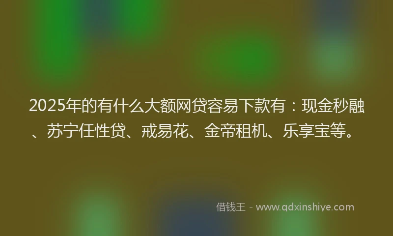 2025年的有什么大额网贷容易下款有：现金秒融、苏宁任性贷、戒易花、金帝租机、乐享宝等。