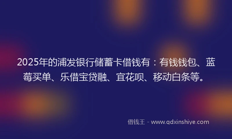 2025年的浦发银行储蓄卡借钱有：有钱钱包、蓝莓买单、乐借宝贷融、宜花呗、移动白条等。