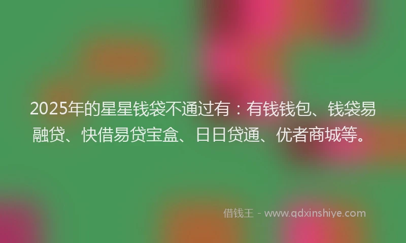 2025年的星星钱袋不通过有：有钱钱包、钱袋易融贷、快借易贷宝盒、日日贷通、优者商城等。