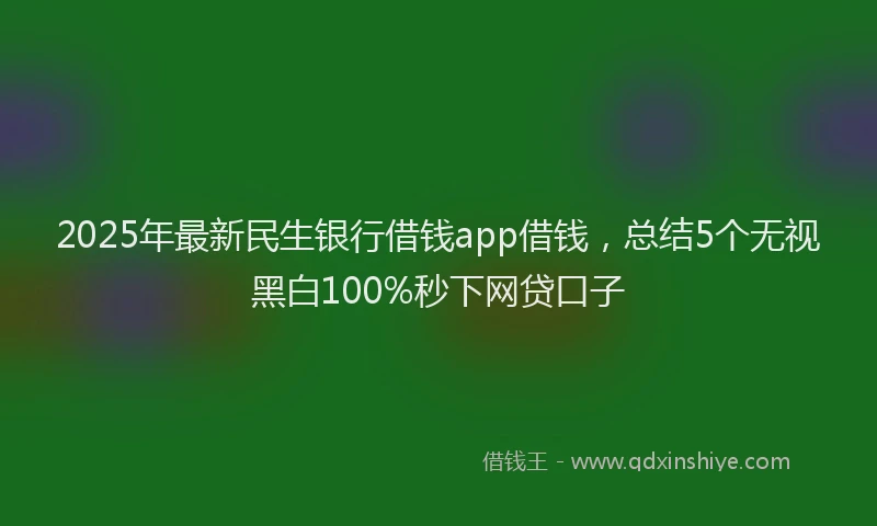 2025年最新民生银行借钱app借钱，总结5个无视黑白100%秒下网贷口子