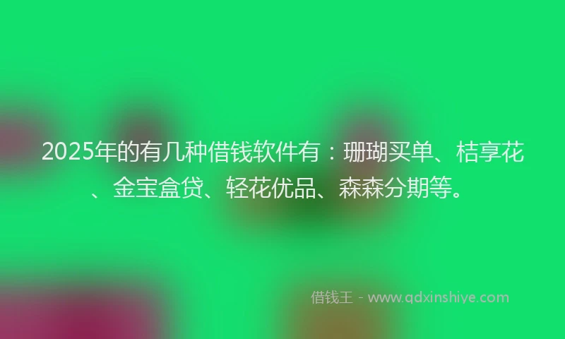 2025年的有几种借钱软件有：珊瑚买单、桔享花、金宝盒贷、轻花优品、森森分期等。