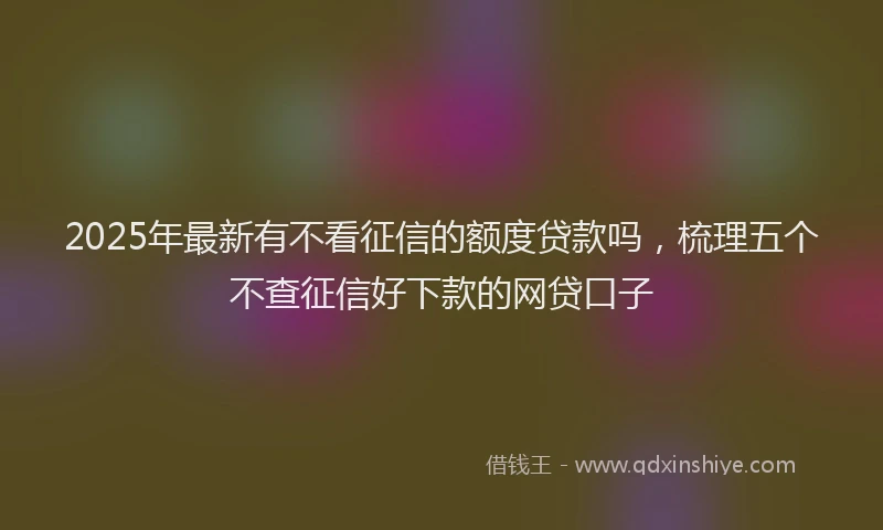 2025年最新有不看征信的额度贷款吗，梳理五个不查征信好下款的网贷口子