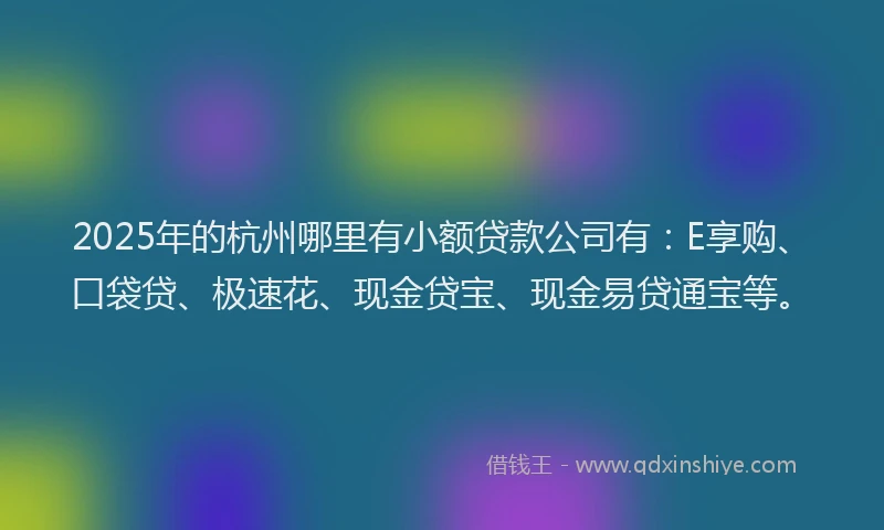 2025年的杭州哪里有小额贷款公司有：E享购、口袋贷、极速花、现金贷宝、现金易贷通宝等。