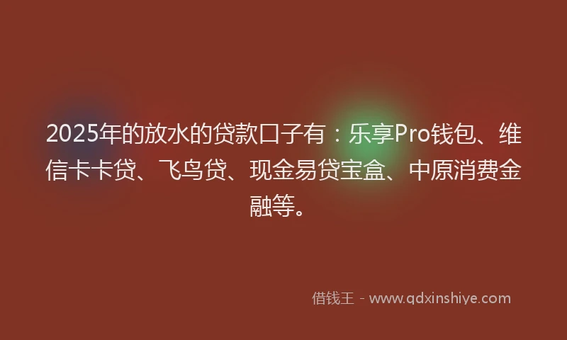 2025年的放水的贷款口子有：乐享Pro钱包、维信卡卡贷、飞鸟贷、现金易贷宝盒、中原消费金融等。