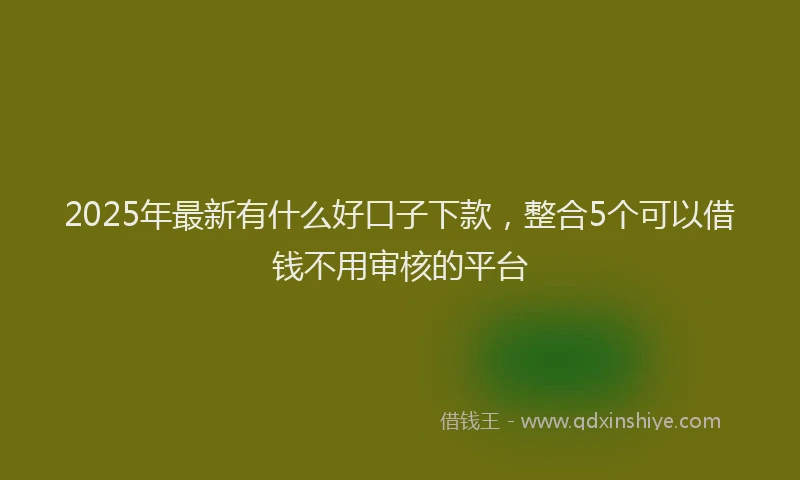 2025年最新有什么好口子下款，整合5个可以借钱不用审核的平台