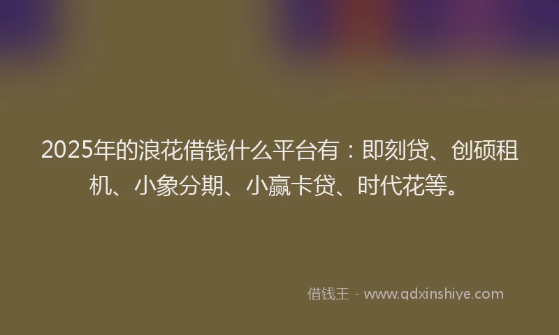 2025年的浪花借钱什么平台有：即刻贷、创硕租机、小象分期、小赢卡贷、时代花等。