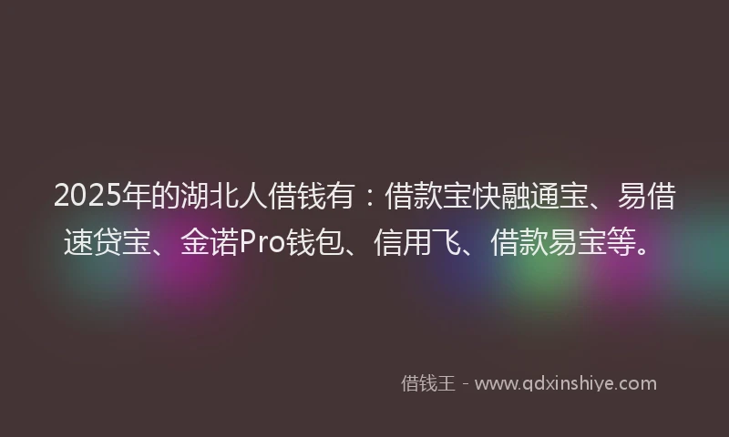 2025年的湖北人借钱有：借款宝快融通宝、易借速贷宝、金诺Pro钱包、信用飞、借款易宝等。