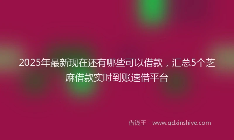 2025年最新现在还有哪些可以借款，汇总5个芝麻借款实时到账速借平台