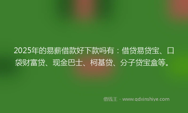 2025年的易薪借款好下款吗有：借贷易贷宝、口袋财富贷、现金巴士、柯基贷、分子贷宝盒等。