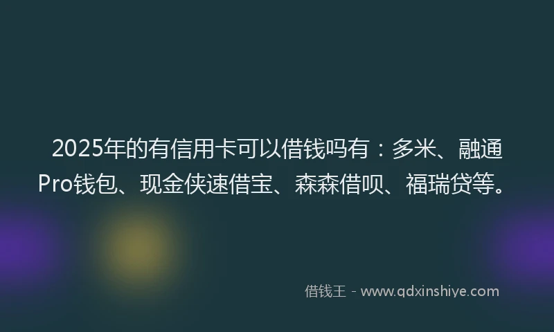 2025年的有信用卡可以借钱吗有：多米、融通Pro钱包、现金侠速借宝、森森借呗、福瑞贷等。