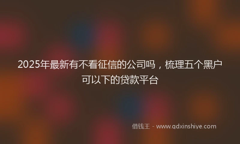 2025年最新有不看征信的公司吗，梳理五个黑户可以下的贷款平台