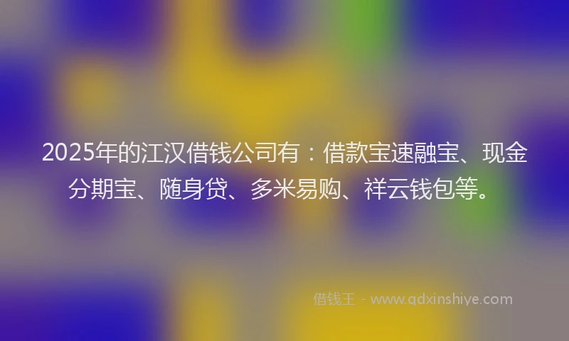 2025年的江汉借钱公司有：借款宝速融宝、现金分期宝、随身贷、多米易购、祥云钱包等。