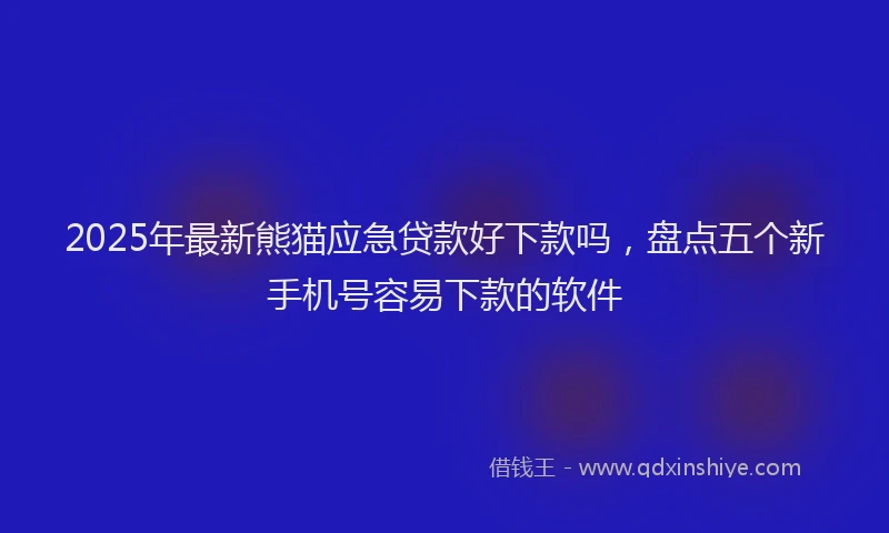 2025年最新熊猫应急贷款好下款吗，盘点五个新手机号容易下款的软件