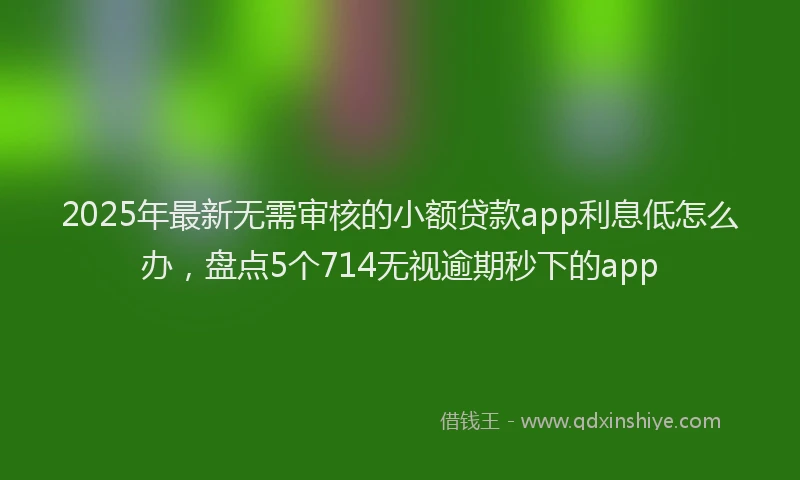 2025年最新无需审核的小额贷款app利息低怎么办，盘点5个714无视逾期秒下的app