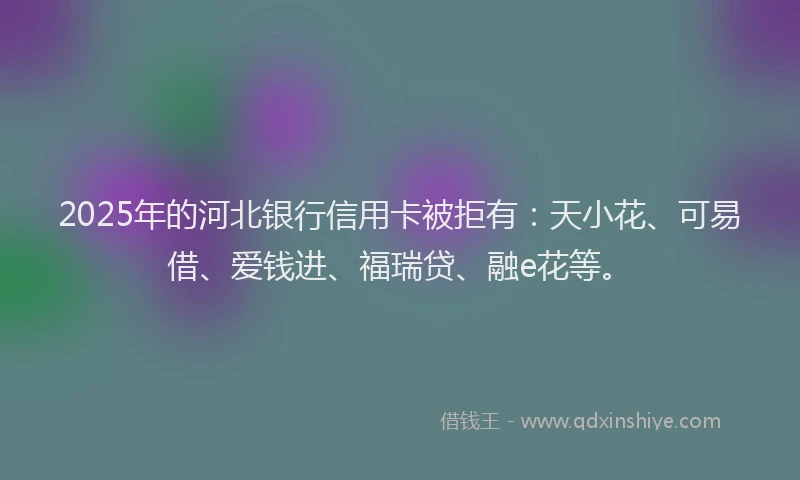 2025年的河北银行信用卡被拒有：天小花、可易借、爱钱进、福瑞贷、融e花等。
