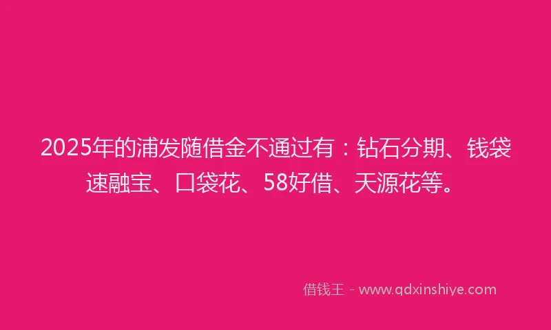 2025年的浦发随借金不通过有：钻石分期、钱袋速融宝、口袋花、58好借、天源花等。