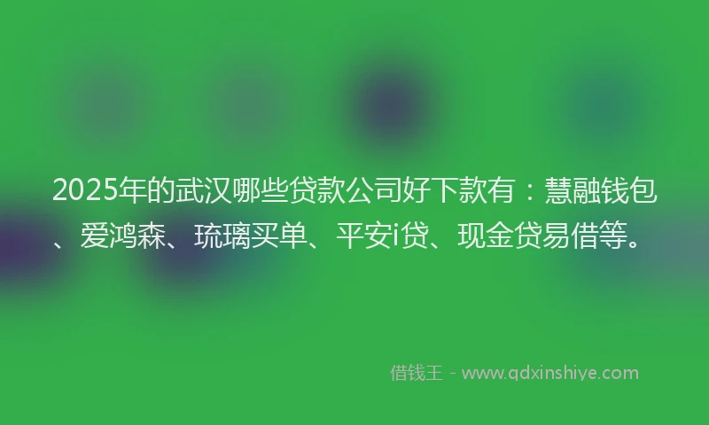 2025年的武汉哪些贷款公司好下款有：慧融钱包、爱鸿森、琉璃买单、平安i贷、现金贷易借等。