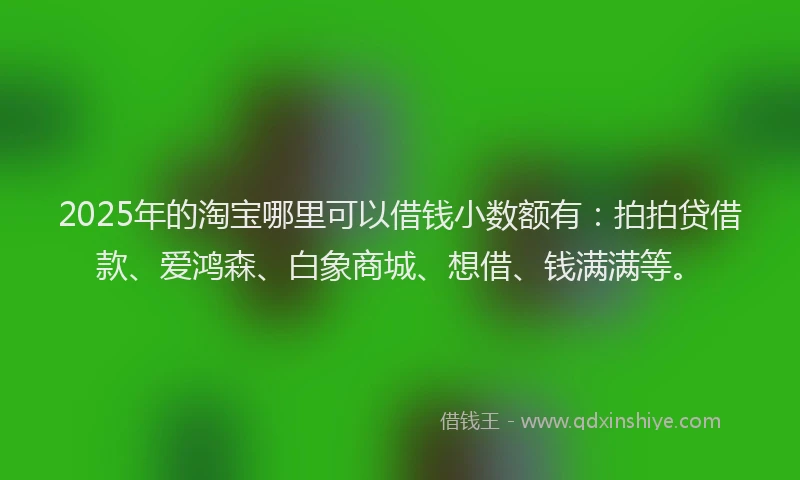 2025年的淘宝哪里可以借钱小数额有：拍拍贷借款、爱鸿森、白象商城、想借、钱满满等。