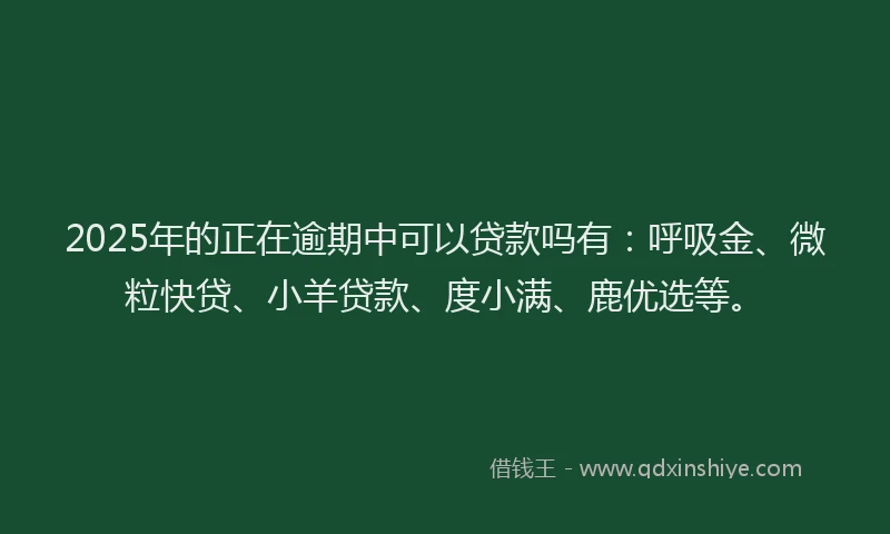 2025年的正在逾期中可以贷款吗有：呼吸金、微粒快贷、小羊贷款、度小满、鹿优选等。