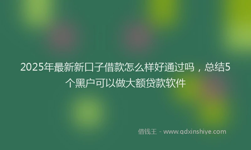 2025年最新新口子借款怎么样好通过吗，总结5个黑户可以做大额贷款软件