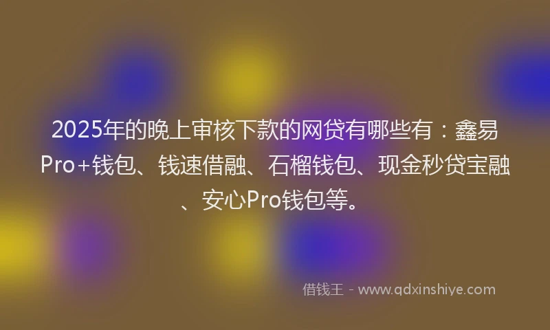 2025年的晚上审核下款的网贷有哪些有：鑫易Pro+钱包、钱速借融、石榴钱包、现金秒贷宝融、安心Pro钱包等。
