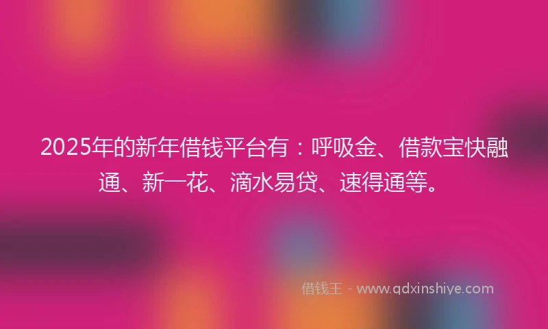2025年的新年借钱平台有：呼吸金、借款宝快融通、新一花、滴水易贷、速得通等。