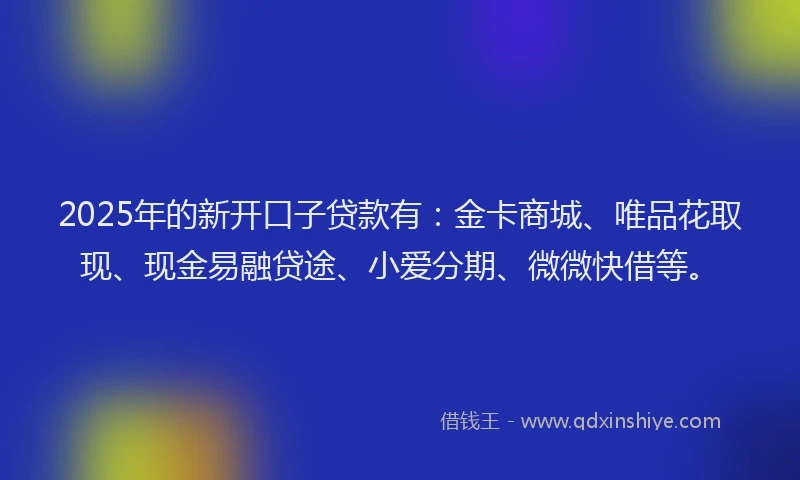 2025年的新开口子贷款有：金卡商城、唯品花取现、现金易融贷途、小爱分期、微微快借等。