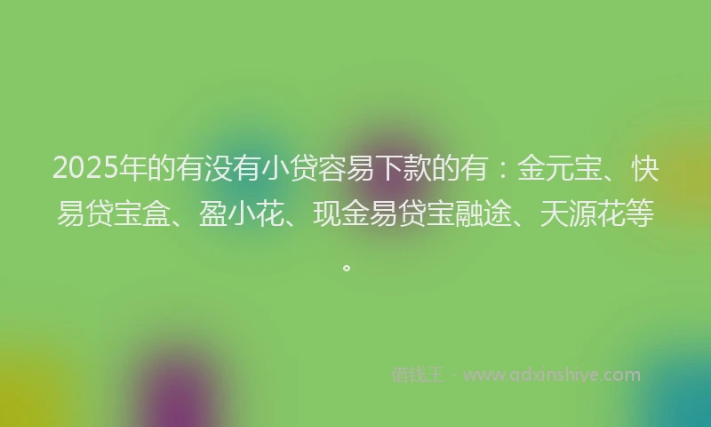 2025年的有没有小贷容易下款的有：金元宝、快易贷宝盒、盈小花、现金易贷宝融途、天源花等。