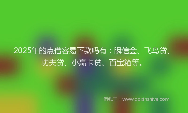 2025年的点借容易下款吗有:瞬信金、飞鸟贷、功夫贷、小赢卡贷、百宝箱等。