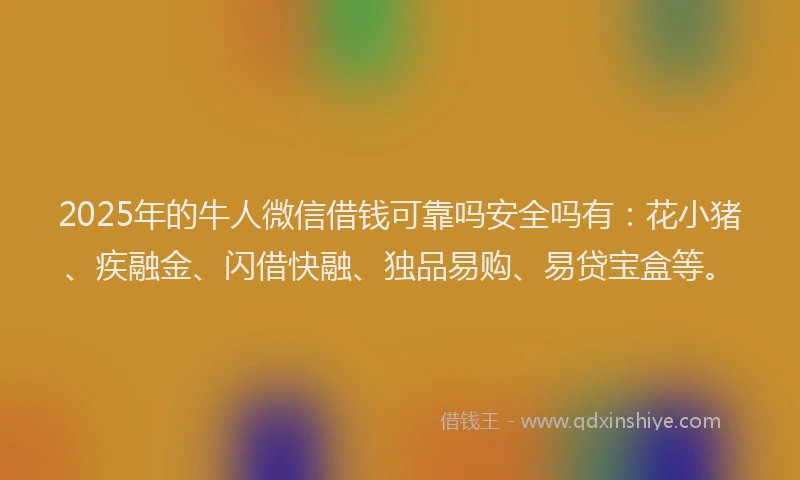 2025年的牛人微信借钱可靠吗安全吗有：花小猪、疾融金、闪借快融、独品易购、易贷宝盒等。