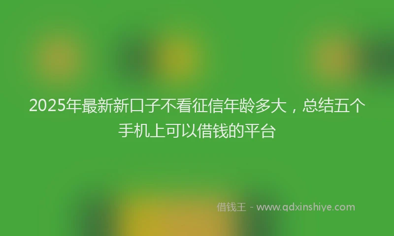 2025年最新新口子不看征信年龄多大，总结五个手机上可以借钱的平台