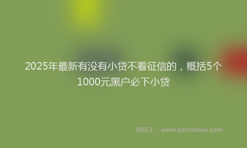 2025年最新有没有小贷不看征信的，概括5个1000元黑户必下小贷