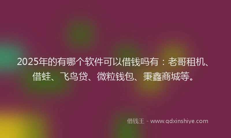 2025年的有哪个软件可以借钱吗有：老哥租机、借蛙、飞鸟贷、微粒钱包、秉鑫商城等。