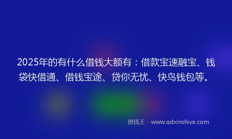 2025年的有什么借钱大额有：借款宝速融宝、钱袋快借通、借钱宝途、贷你无忧、快鸟钱包等。